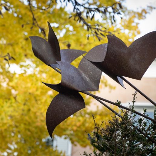 "Vers le ciel", pièce unique, sculpture en acier Corten. Taille 70x60cm.